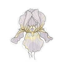 アイリス